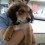 David Funosas