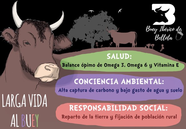 (Acorn-fed Iberian Ox)'s header image