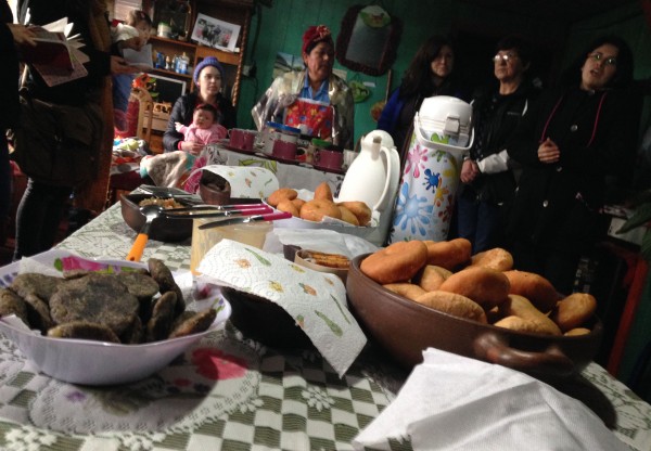 Ruta de la Nalca: Turismo Culinario Comunitario Mapuche en Nahuelbuta's header image