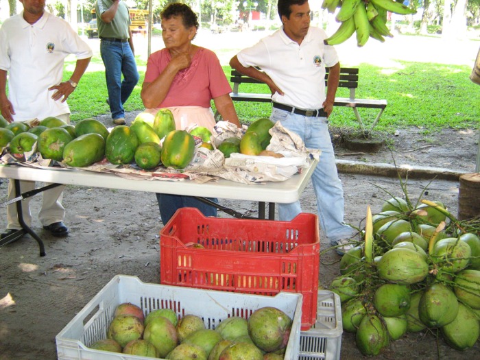 comercializacion-comunitaria.jpg