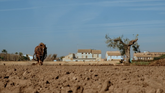 la-pell-en-la-terra-2.jpg