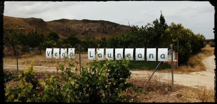 vega-laureana.jpg