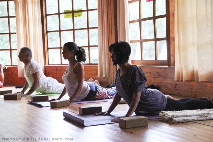 yogabodyharmony.jpg